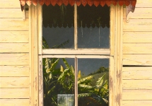 Mooball window, NSW 90cm x 60cm