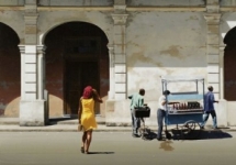 Summer Heat- Havana   152 x 83.5cm